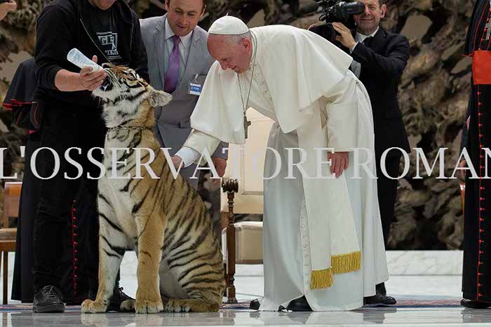 %_tempFileName04226_16062016%