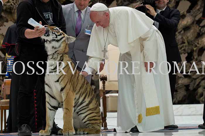 %_tempFileName04228_16062016%