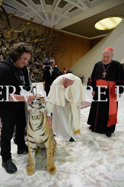 %_tempFileName04231_16062016%