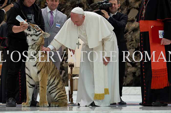 %_tempFileName04236_16062016%