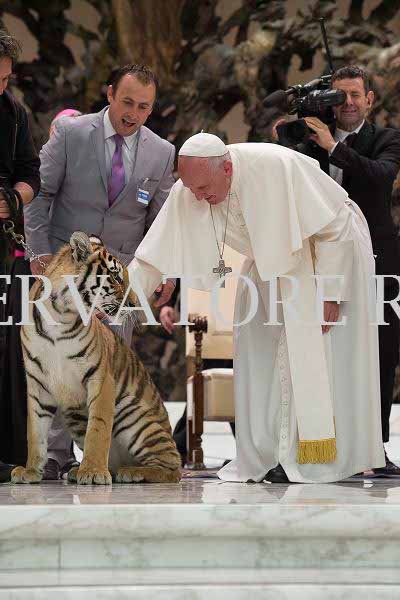 %_tempFileName04248_16062016%