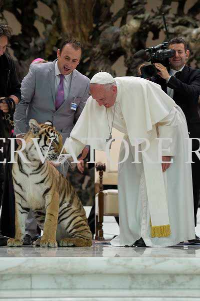 %_tempFileName04249_16062016%