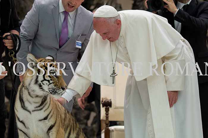 %_tempFileName04250_16062016%