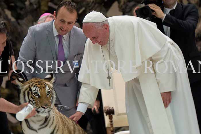 %_tempFileName04251_16062016%