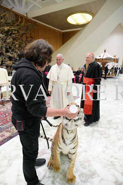 %_tempFileName04254_16062016%