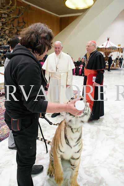 %_tempFileName04255_16062016%