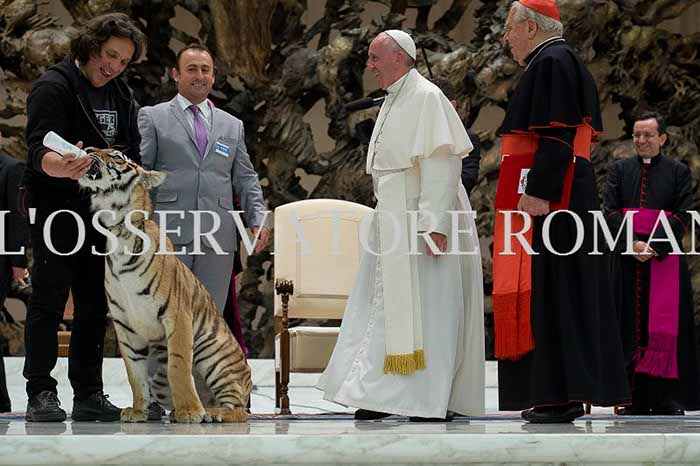 %_tempFileName04256_16062016%