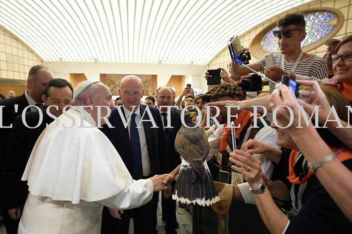 %_tempFileName06311_16062016%