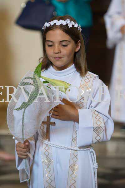 %_tempFileName00233_26062016%