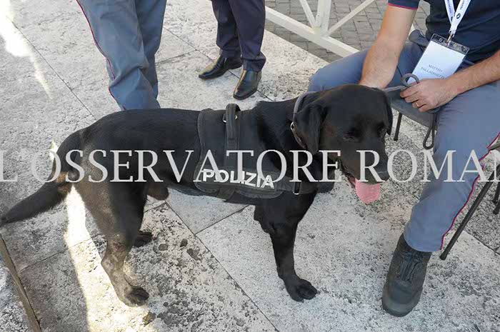 %_tempFileName00098_03092016%