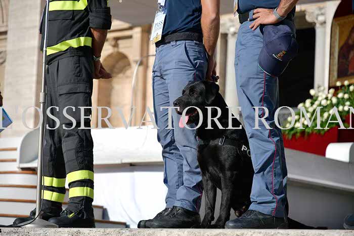 %_tempFileName00266_03092016%