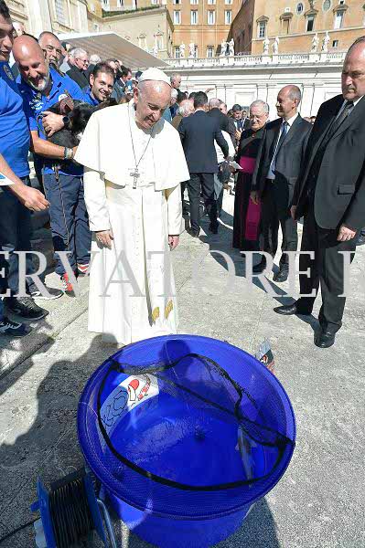 %_tempFileName312496_04102017%