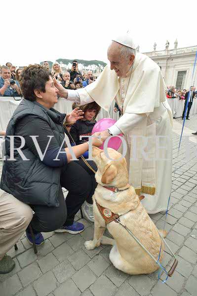 %_tempFileName339808_18102017%