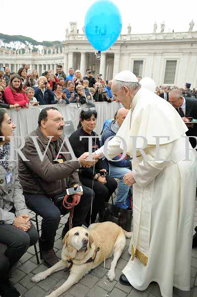 %_tempFileName339858_18102017%