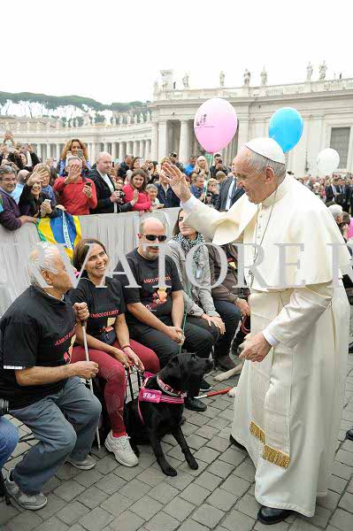 %_tempFileName339882_18102017%