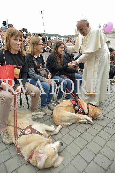 %_tempFileName339906_18102017%