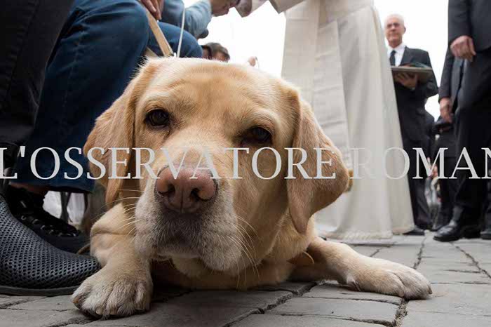 %_tempFileName340140_18102017%