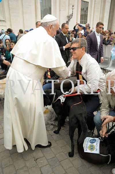 %_tempFileName340241_18102017%