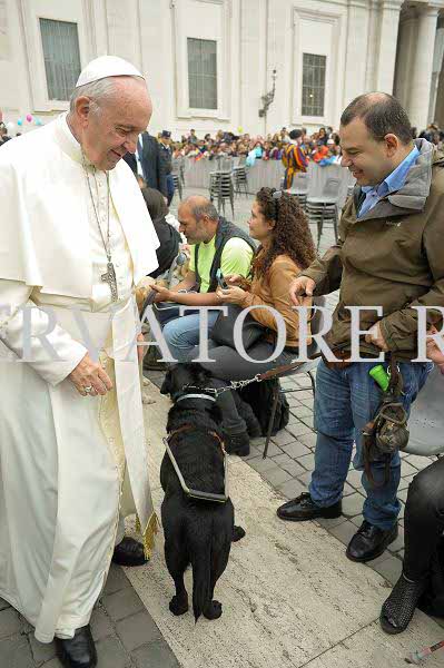 %_tempFileName341081_18102017%