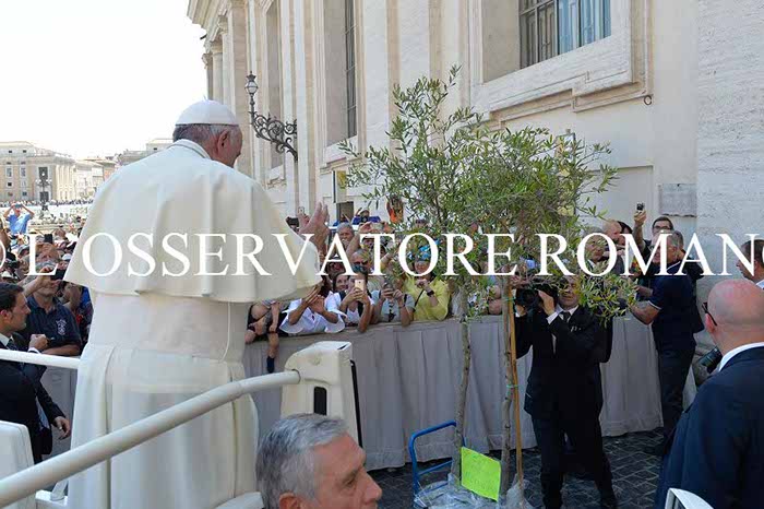 %_tempFileName227064_21062017%