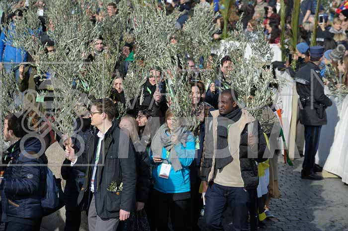 %_tempFileName00480_25032018%