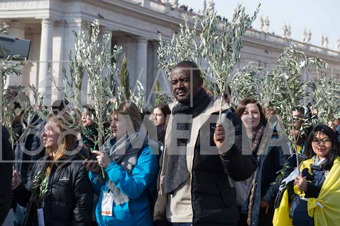 %_tempFileName00494_25032018%