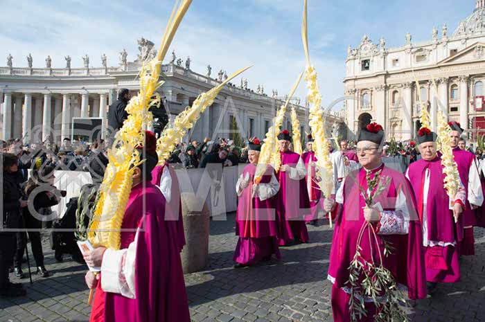 %_tempFileName00646_25032018%