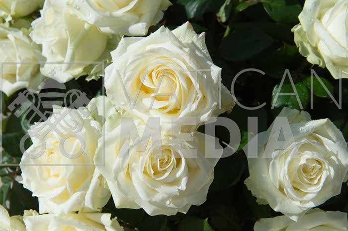 %_tempFileName13182_01042018%