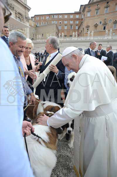 %_tempFileName315005_19092018%