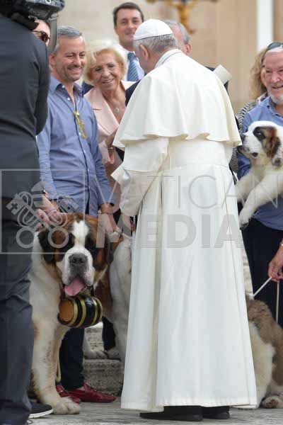 %_tempFileName315025_19092018%