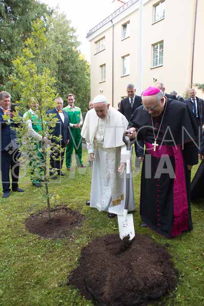 %_tempFileName10731_25092018%