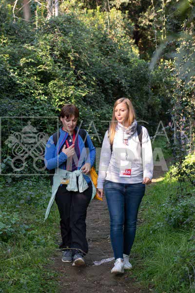 %_tempFileName43510_25102018%