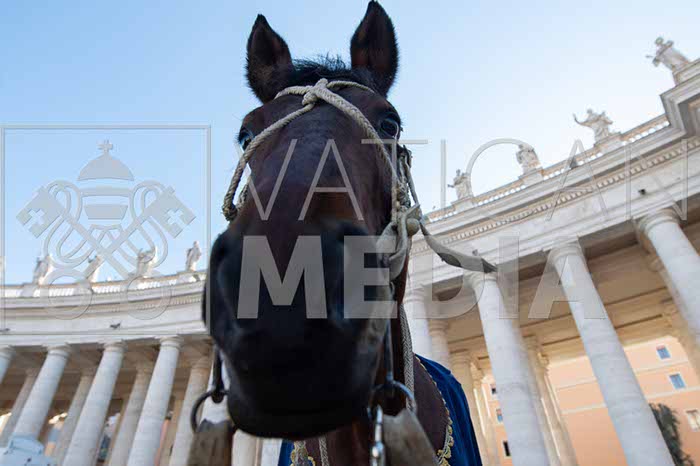 %_tempFileName02917_06012019%