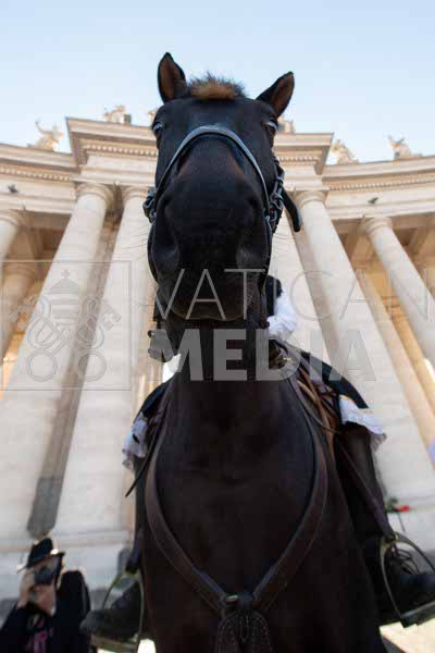 %_tempFileName02954_06012019%