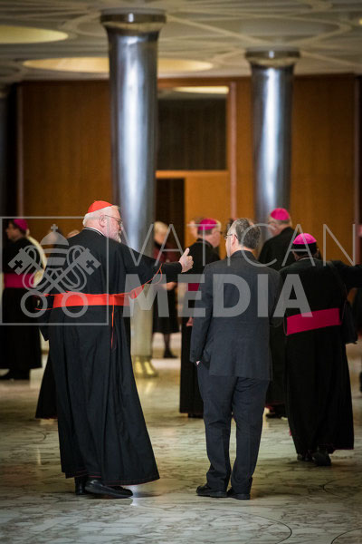 %_tempFileName03406_22022019%