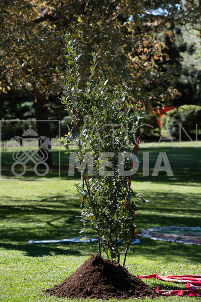 %_tempFileName01920_04102019%