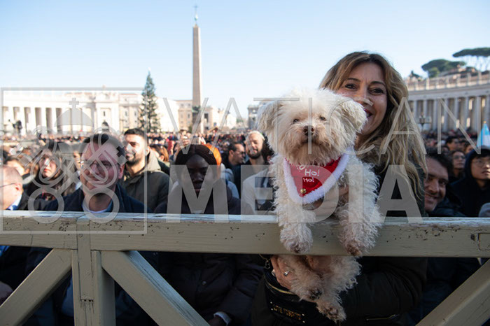 %_tempFileName03026_25122019%