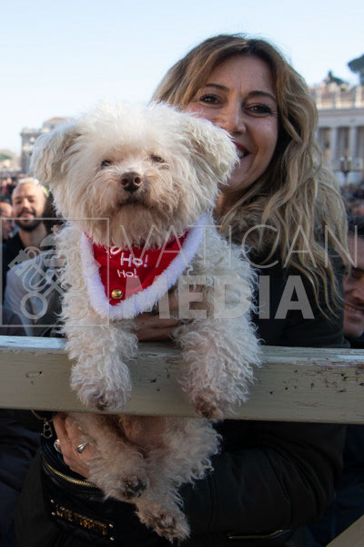 %_tempFileName03027_25122019%